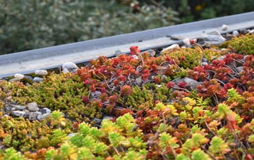 the cost of Monimail green roof installation