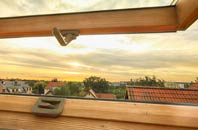 rated Monimail roof window companies